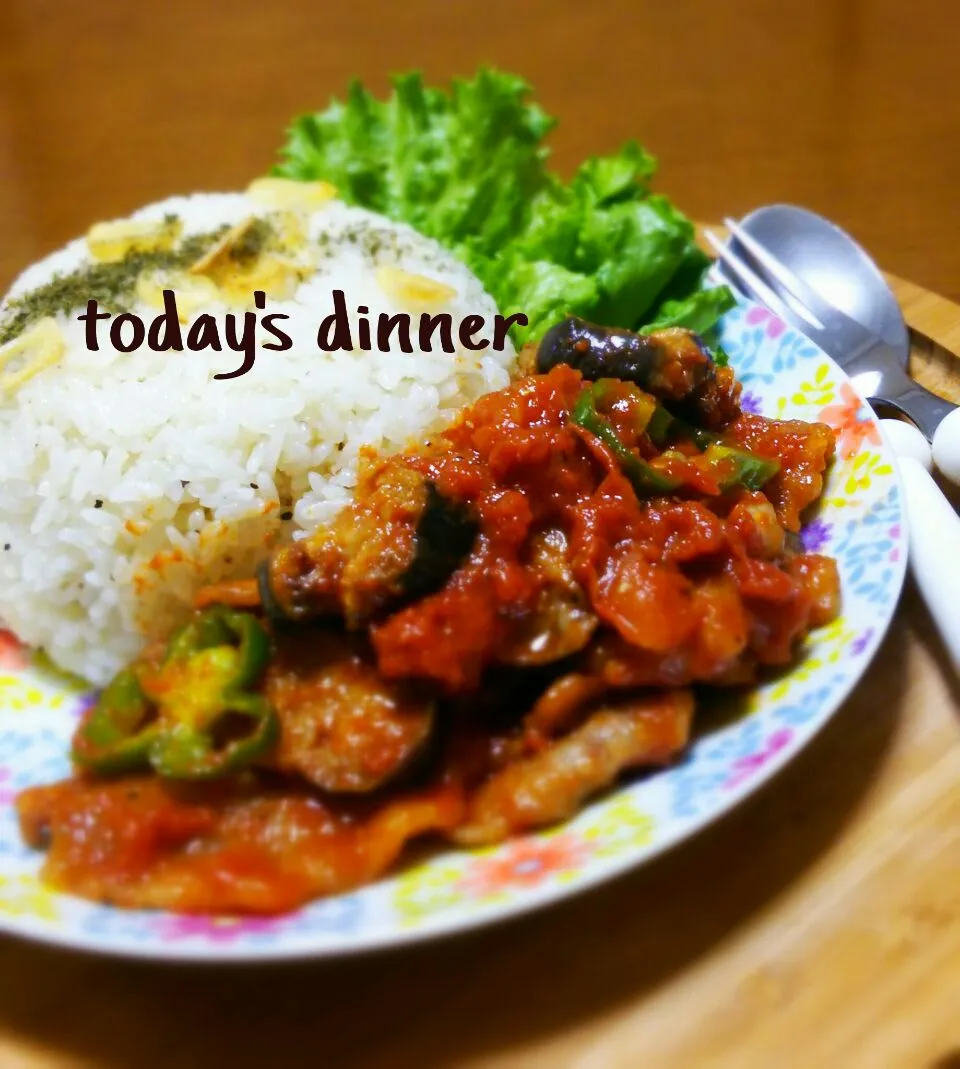 豚肉と茄子の
トマトソース煮込み♪|Kazuyo Nakamuraさん