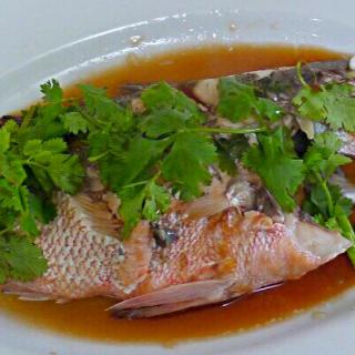 中華風蒸し魚のレシピと料理アイディア16件 Snapdish スナップディッシュ