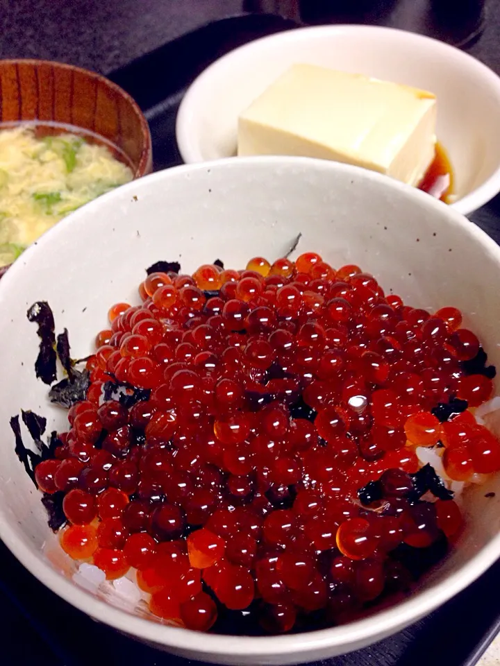 Snapdishの料理写真:いくら丼|みゆぅさん