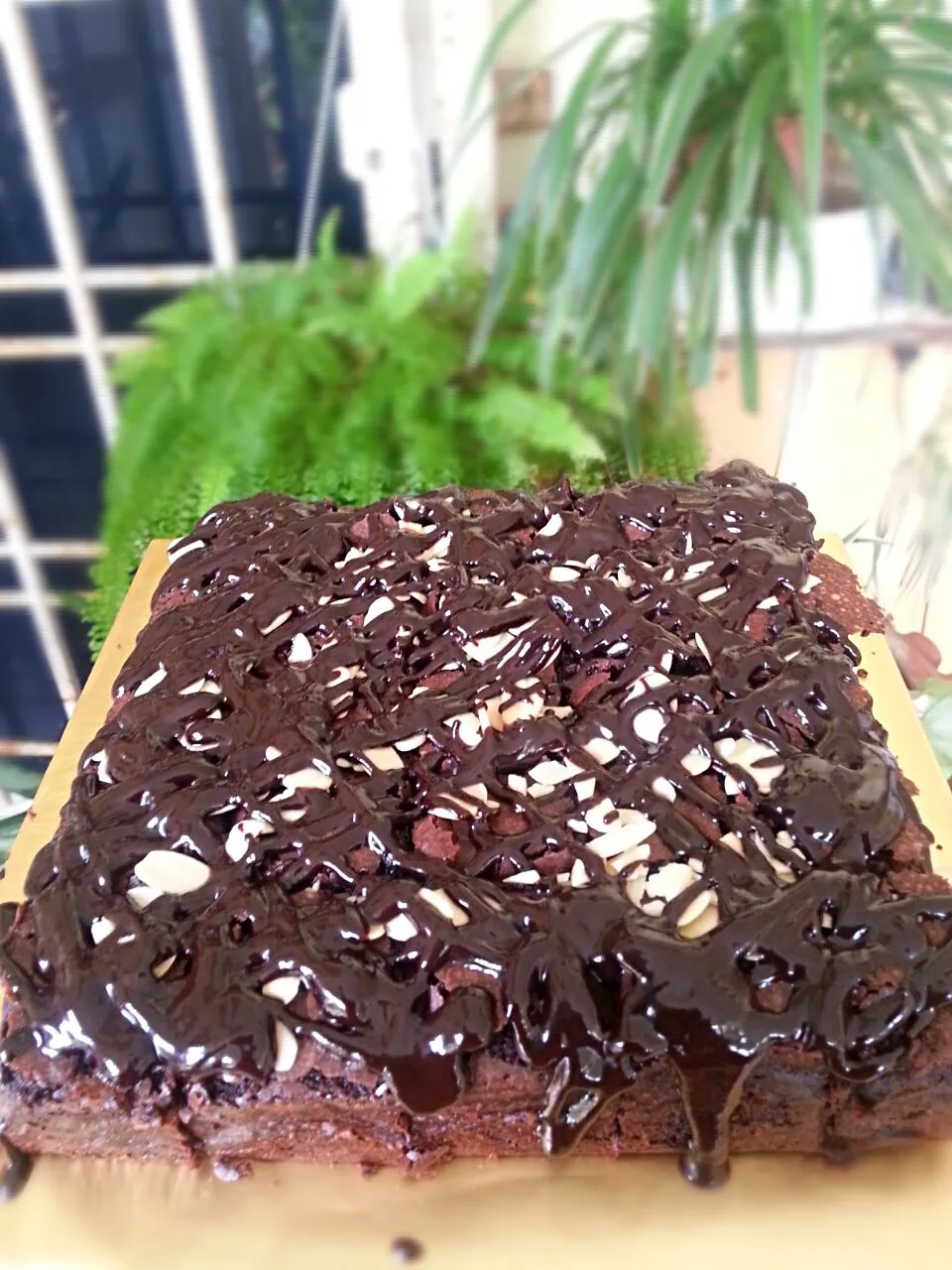 chewy gooey Brownies with chocolate Ganache|Sarazia Mohd Saidさん