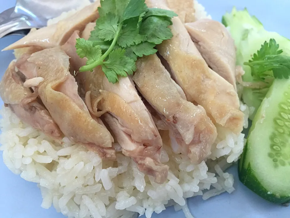 Chicken Boiled Rice|Wanchaiさん