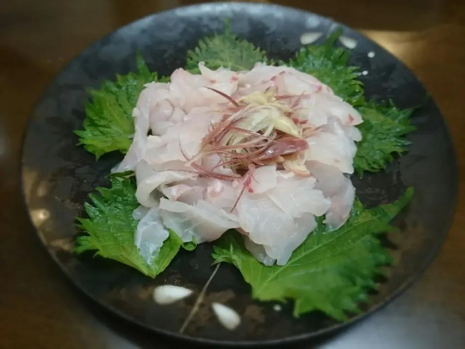 Snapdishの料理写真:釣マハタ|ハゼさん