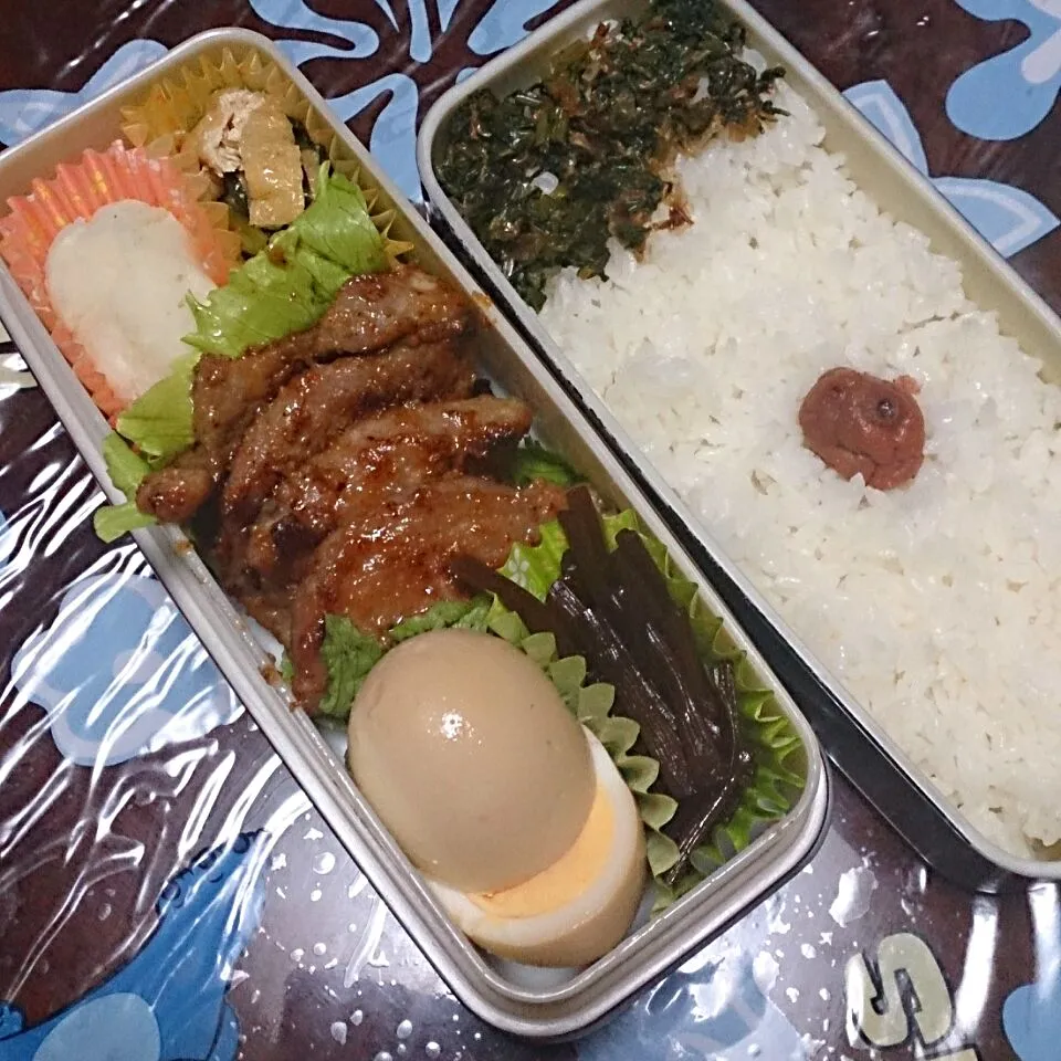 11月10日 パパのお弁当|かなこさん