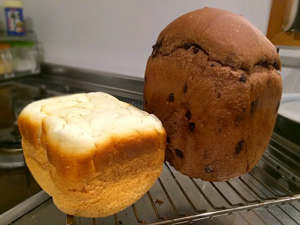 小麦なしお米パンと強力粉が足りなくて薄力粉入りの早焼きチョコパン|troutscakeさん