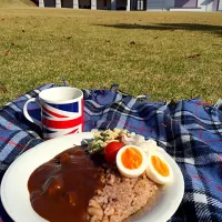 ピクニック・ランチ♬ (▰˘◡˘▰)☝︎