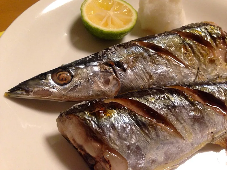 Pacific saury!|mさん