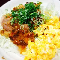 Snapdishの料理写真:2色丼♥︎|Ouya Yuukiさん