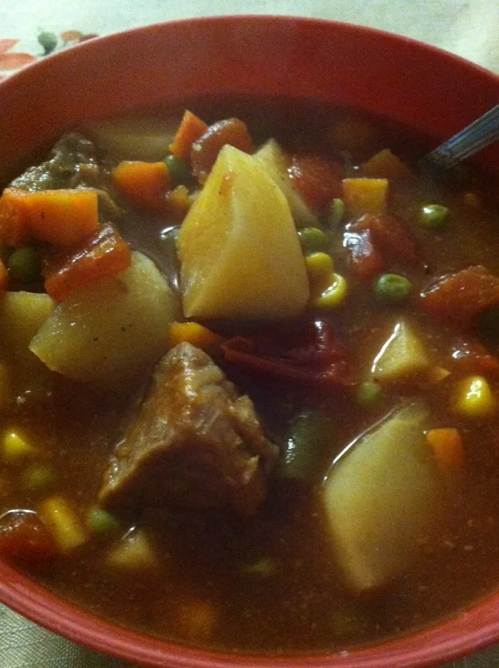 Beef and Vegetable soup|robb revereさん