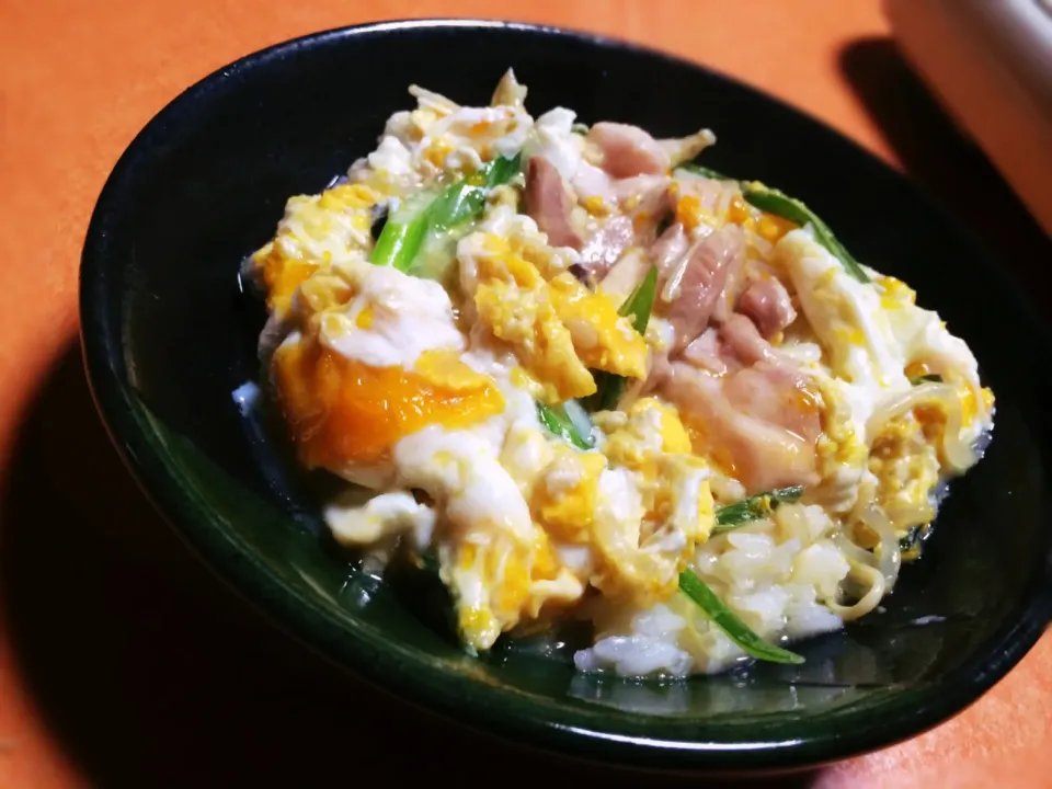 鶏すきの次の日は親子丼。|やまださん