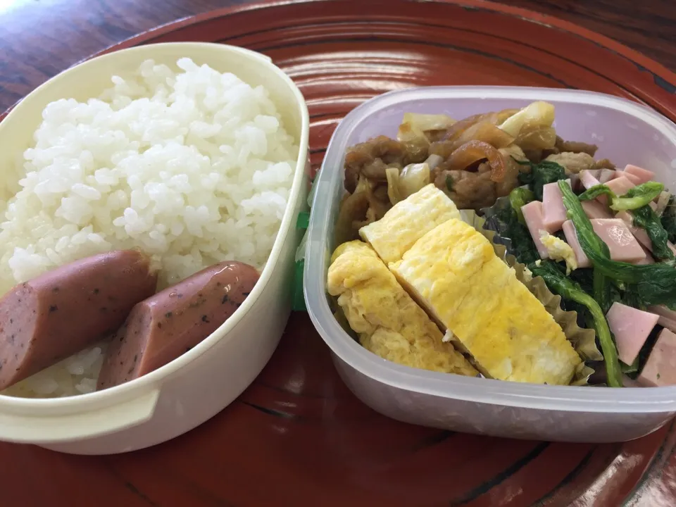 今日の弁当|Syunji Maruyamaさん