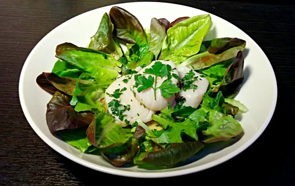 Scallop salad in Japanese sauce|Antonyさん