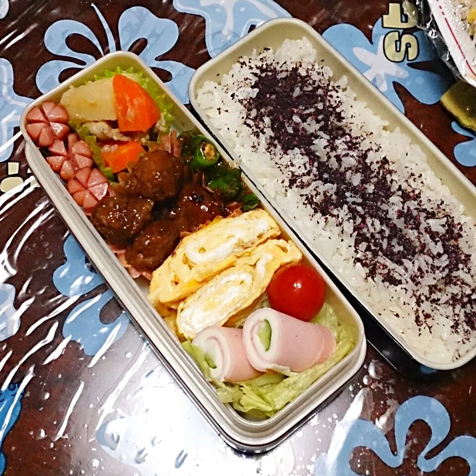 11月13日 パパのお弁当|かなこさん