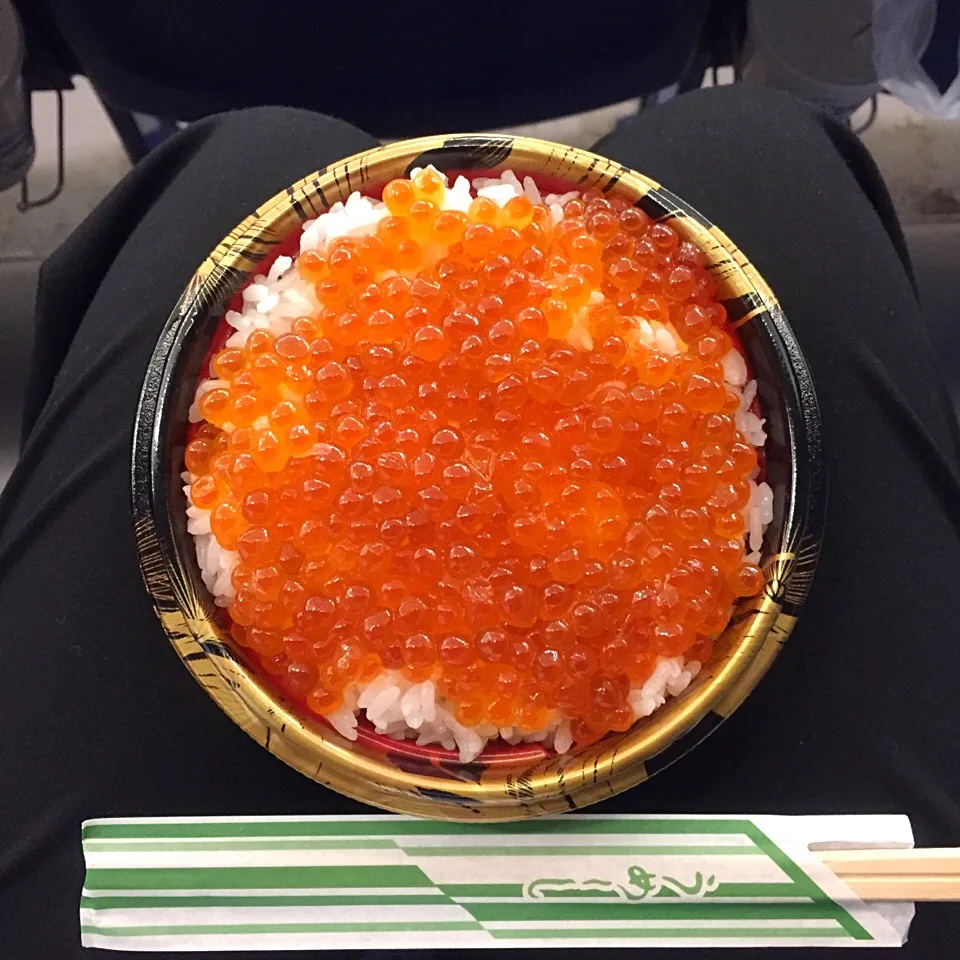 Snapdishの料理写真:北海道のいくら丼|Frau₍ᐢɞ̴̶̷ ·̮ ɞ̴̶̷ᐢ₎さん