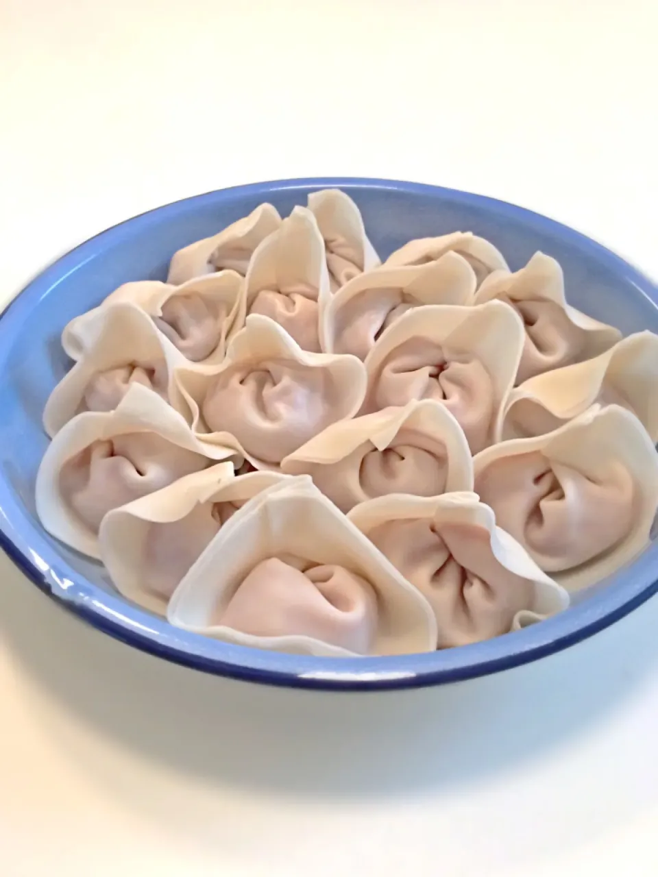 Wonton - chinese pork dumpling|12Dragonさん