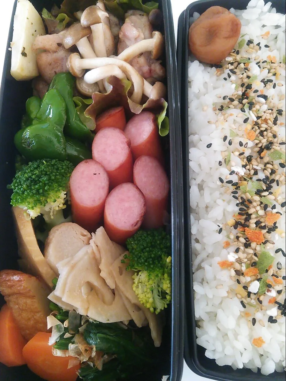 今日のお弁当|chiinaさん