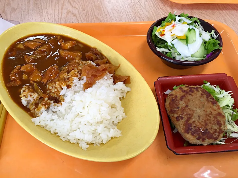 チキンカレーとハンバーグ＼(^o^)／|すかラインさん