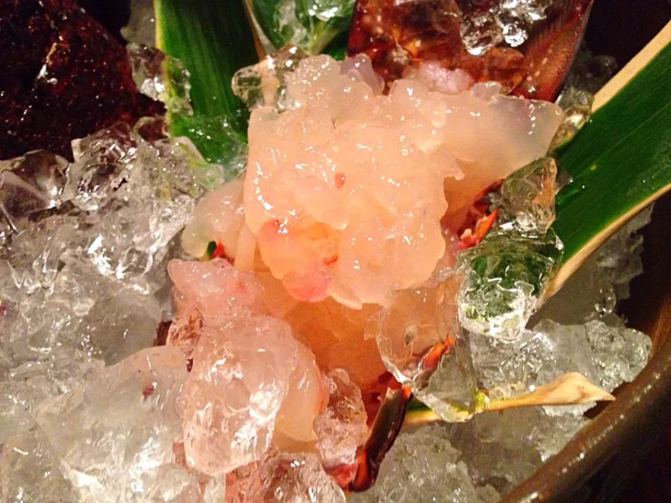 お造り 伊勢海老|ハギーさん