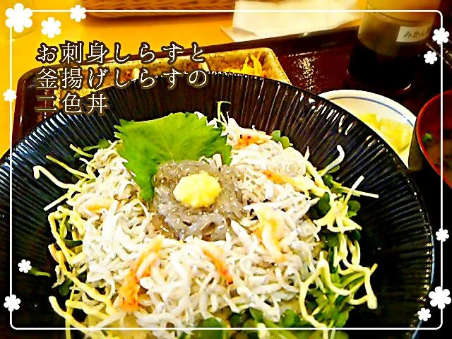 お刺身しらすと釜揚げしらすの二色丼|めぐチー🌿さん