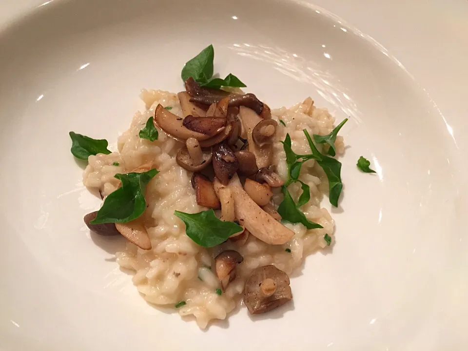 Porcini Mushrooms Risotto, Sautéed Wild Mushrooms|Obeoom Jumsai Na Ayudhyaさん