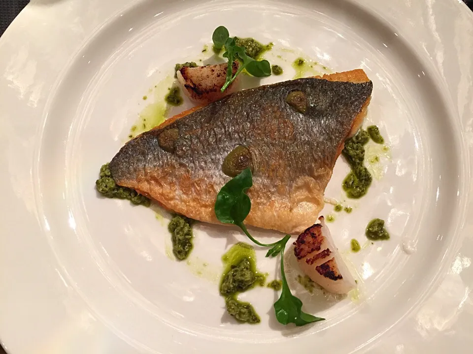 Mediterranean Sea Bream, Taggiasca Olives, basil Pesto, Seared Hokkaido Scallops|Obeoom Jumsai Na Ayudhyaさん