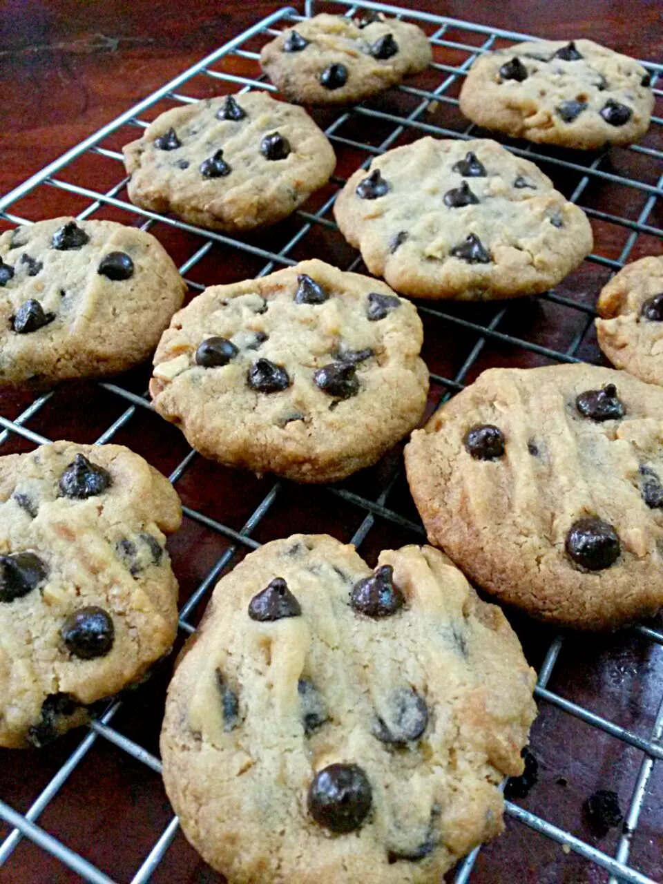 Cookies Chocolate Chip & Cashew Nut|Jeab Lertさん