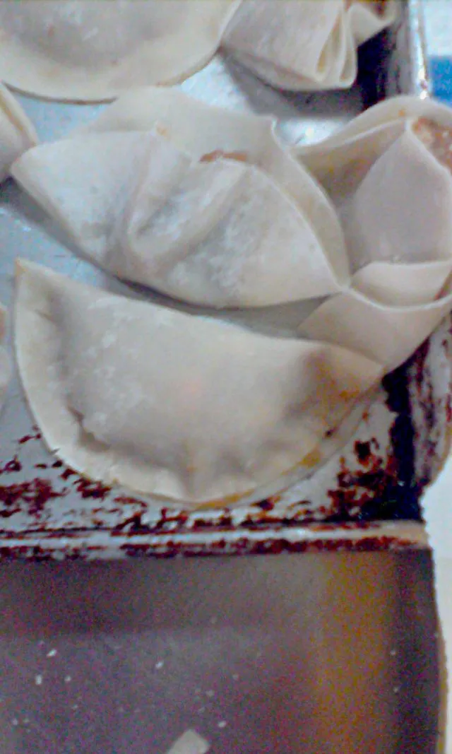 Snapdishの料理写真:Pot stickers|Jasey Rae Gaskarthさん