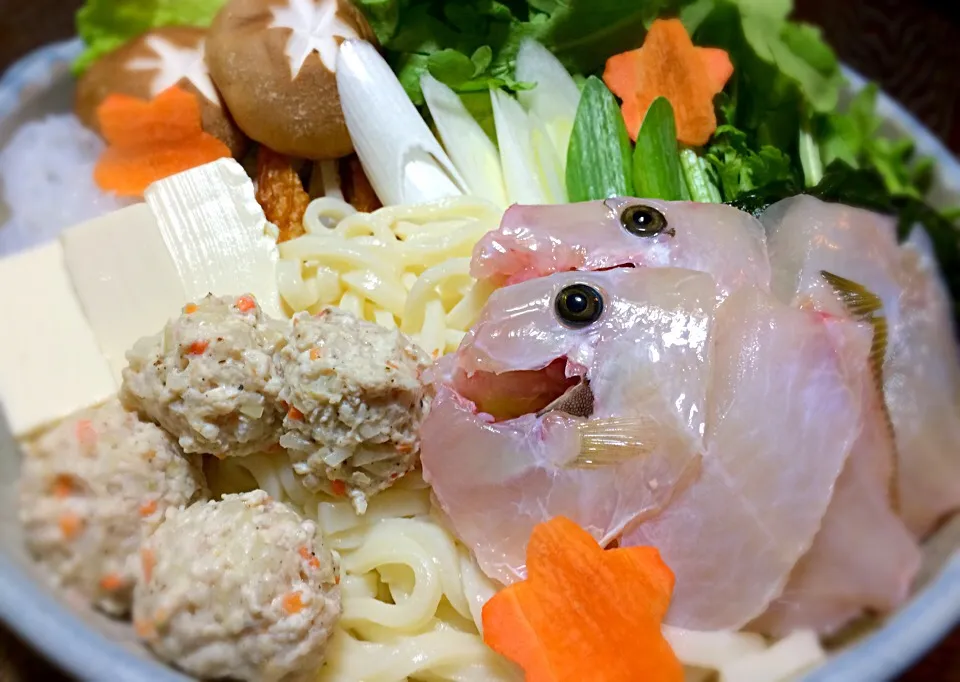 今夜は  丸ハゲ、鶏団子のうどんすき|mottomoさん