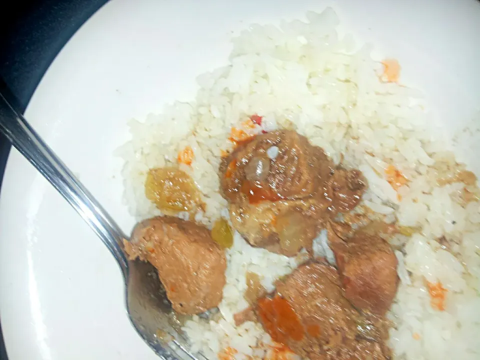 Beef &  Rice #Dinner #Beef ✔😆✔|Alisha GodsglamGirl Matthewsさん