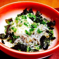 Snapdishの料理写真:しらす丼😋|きえさん