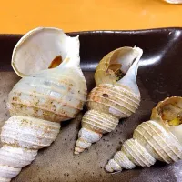 つぶ貝の壺焼き|土屋智宏さん