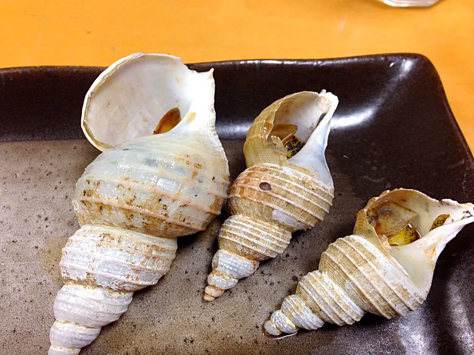 つぶ貝の壺焼き|土屋智宏さん