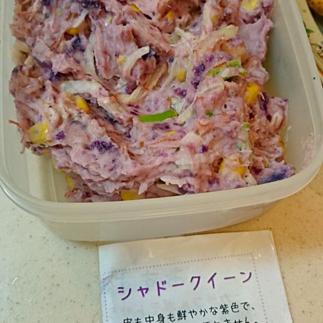 シャドークイーンのポテトサラダ Cookingパパ五郎 Snapdish スナップディッシュ Id J9rb9a