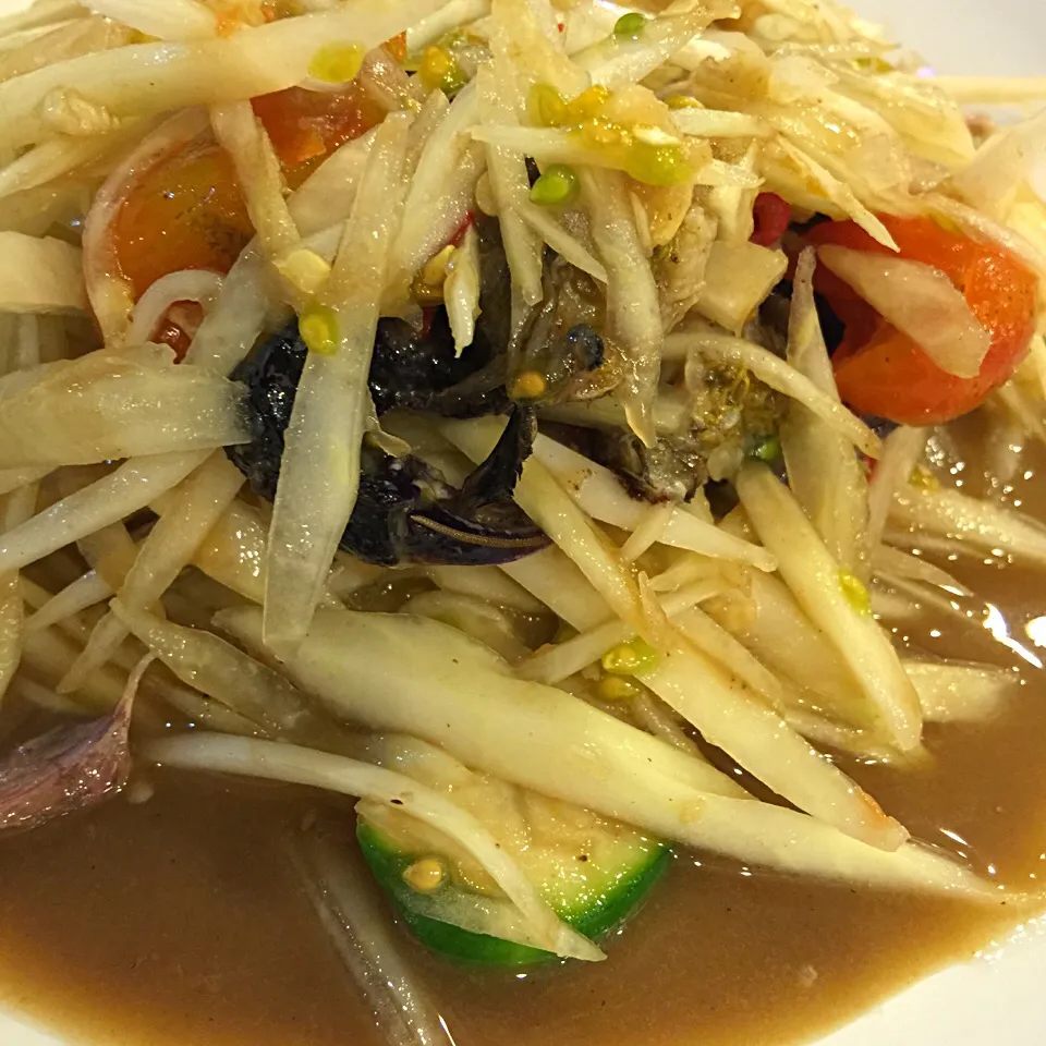 Snapdishの料理写真:som-tum (papaya salad)|takeshiさん