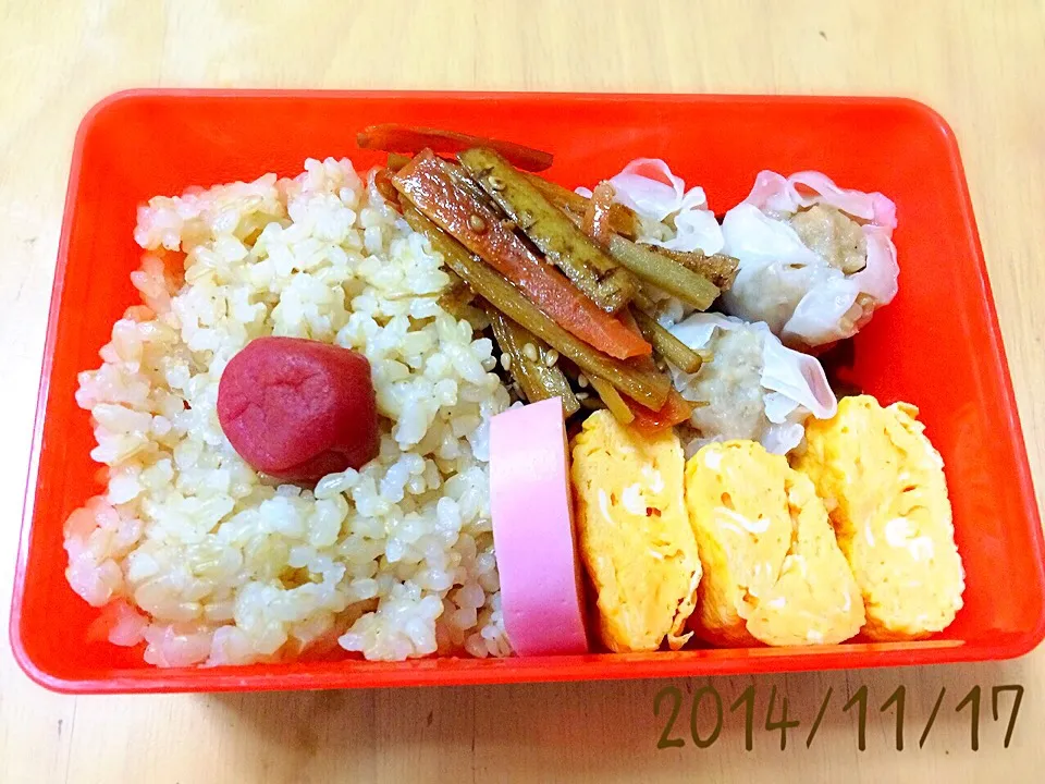 お弁当 2014/11/17|たまこっこさん