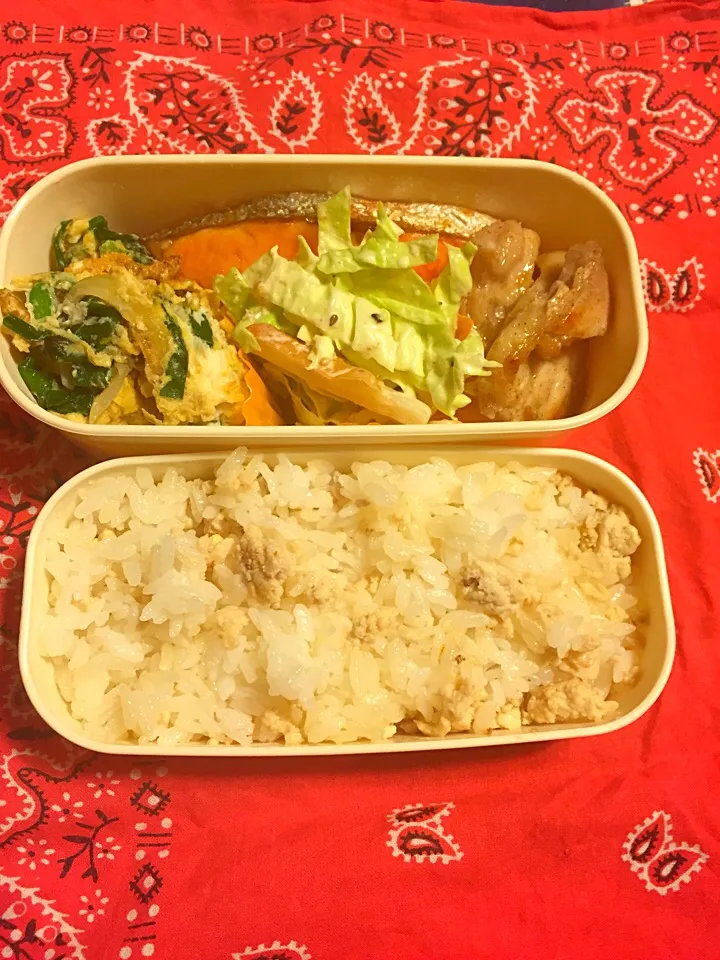 お弁当❤︎11/17|さくたえさん