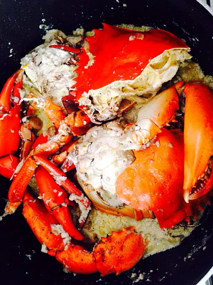 Mr Crabs in Spicy Coconut Milk|Kztina Garciaさん