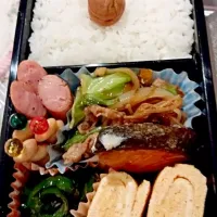 Snapdishの料理写真:今朝作ったお弁当♡最近、いかに卵1つで綺麗に玉子焼き焼けるか模索中(*´ω`*)|ももさん