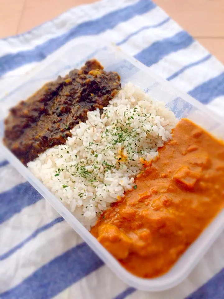 ほうれん草カレー、バターチキンカレー弁当|Midoriさん