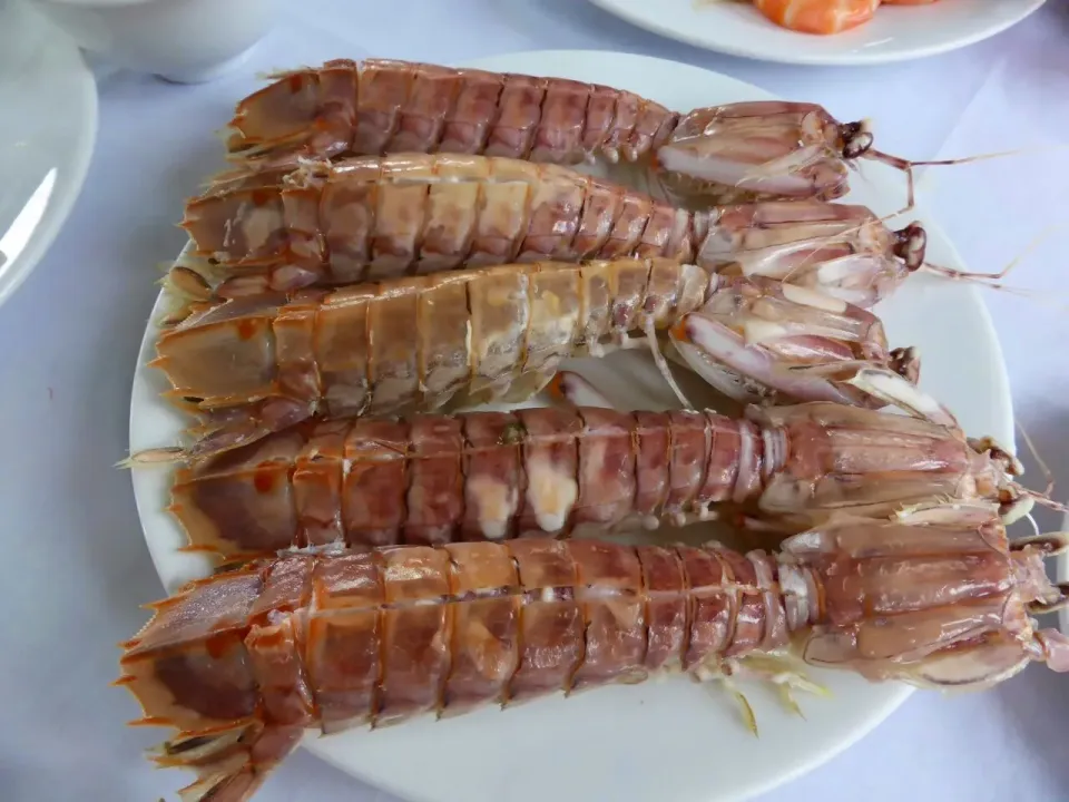 ベトナム・ハロン湾でのクルーズランチ|東京ライオンズさん