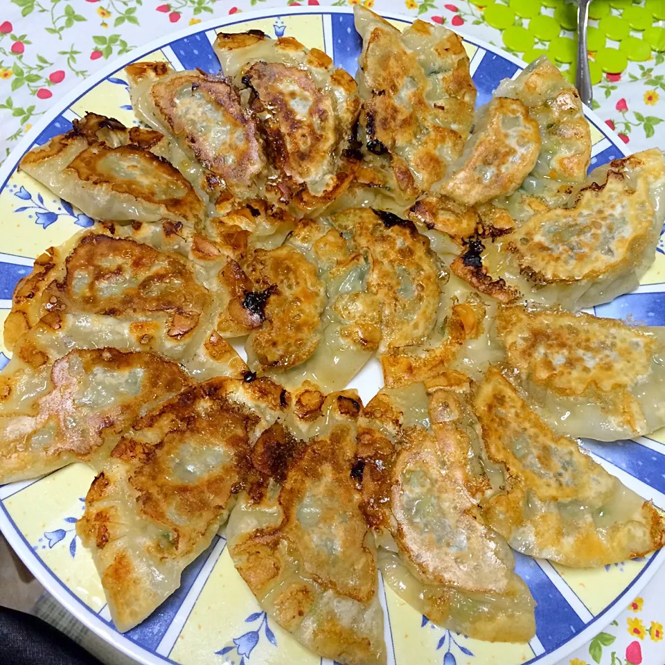 gyoza|gachiyunaoさん