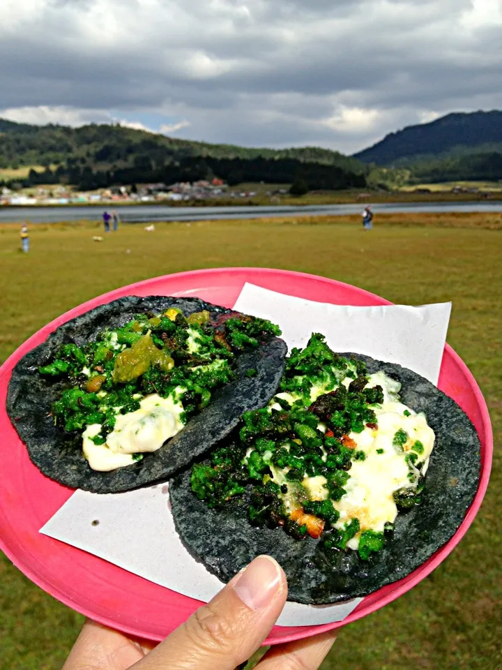 Quesadilla Chorizo verde con queso|チビミミさん