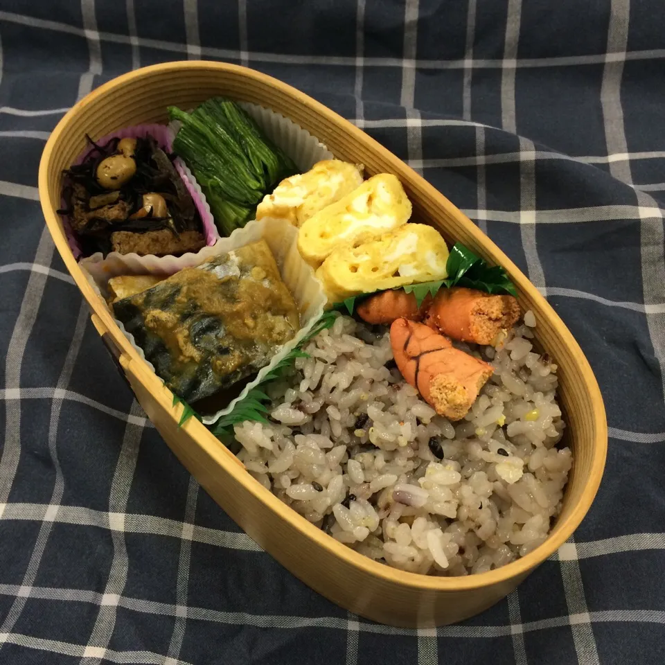 弁当（サバ味噌煮、玉子焼き、ひじき、ほうれん草お浸し、焼き明太子）|SasaMasa213さん