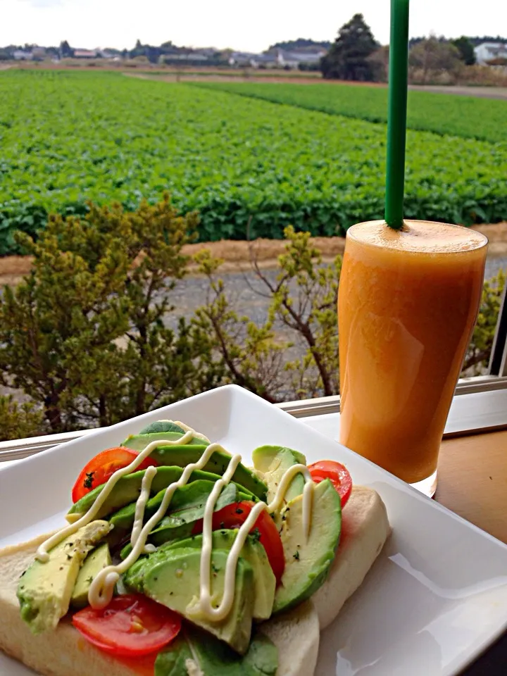 Snapdishの料理写真:Orange smoothie with avocado sandwich|viviさん