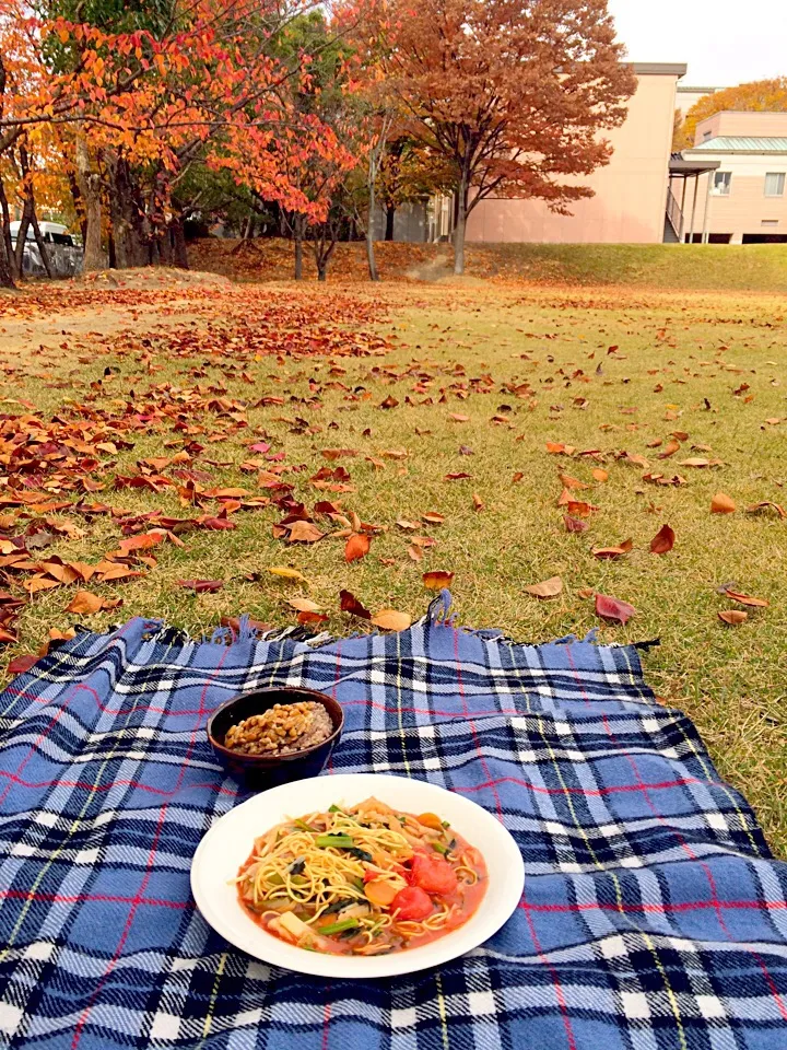 ピクニック・ランチ♬ (▰˘◡˘▰)☝︎ （マルタイ応援団‼︎） #マルタイ|Yoshinobu Nakagawaさん