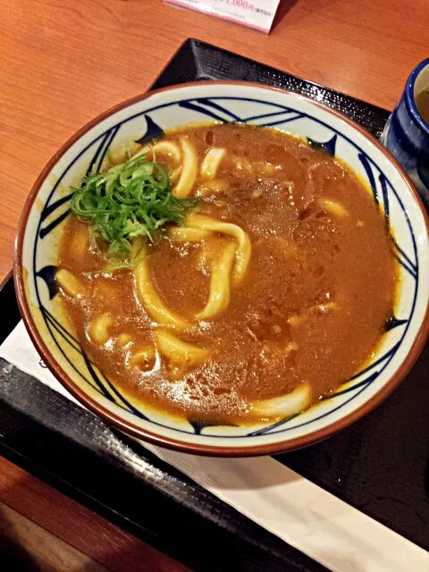 カレーうどん #curry #udon|amnesic computerさん