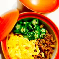 Snapdishの料理写真:鶏そぼろ三色丼|YuKo:)Kさん