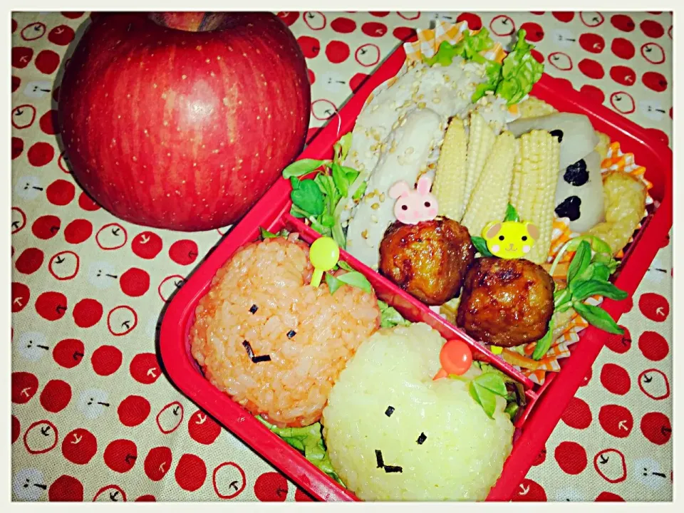 🍎🍏お弁当♪♪♪|Kiyokoさん