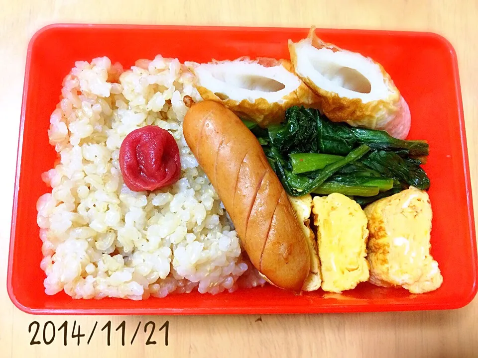 お弁当 2014/11/21|たまこっこさん