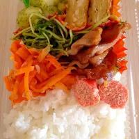 Snapdishの料理写真:今日のお弁当|めりりんさん