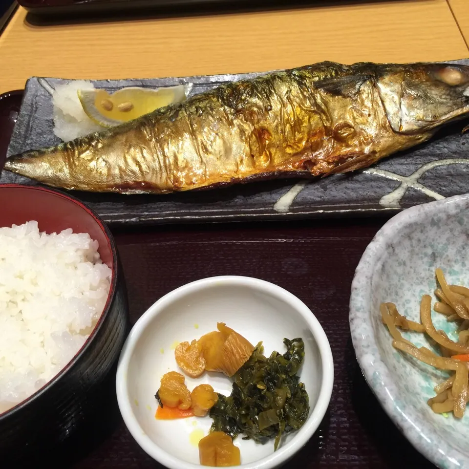 金華さば塩焼き定食|Koichi Shibataさん